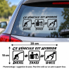 Sticker humour Ce véhicule est hybride diesel et taxes, 20 × 10 cm, aperçu sur vitre de voiture et vue du motif