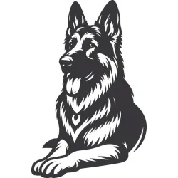 Originalfoto Berger allemand Vinyl-Aufkleber 14 × 10 cm