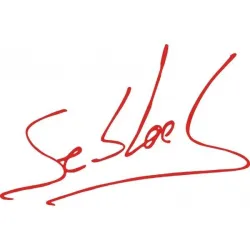 Sticker Sébastien Loeb 14 cm | Fais des Affaires