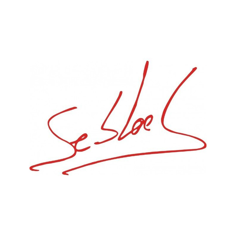 Sticker Sébastien Loeb 14 cm | Fais des Affaires