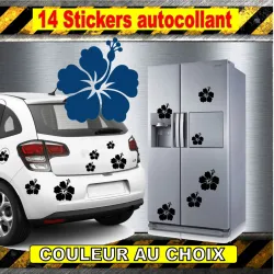 Lot de 14 stickers fleurs Hibiscus | Fais des Affaires