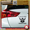 Sticker – Gaulois réfractaire soutient au gilet jaune sticker autocollant | Fais des Affaires