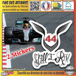 Lewis Hamilton 44 F1...