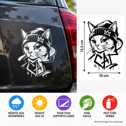 Sticker autocollant vinyle chat graffiti CAT 13,5 × 10 cm