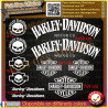 11 stickers autocollant harley davidson skull iron