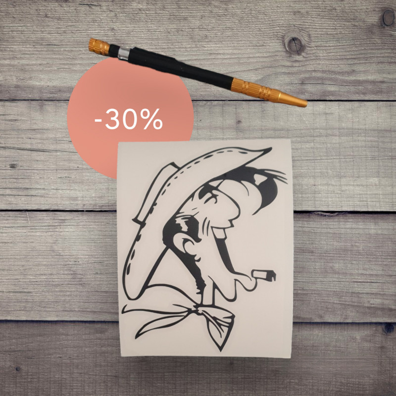 copy of Princesse à bord  handicape place pour fauteuil roulant Stickers Autocollant