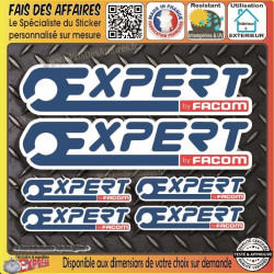 expert by Facom Stickers...