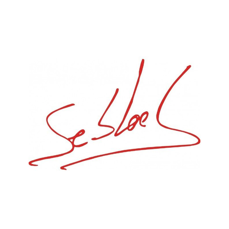 Sebastien Loeb sticker autocollant
