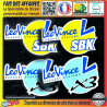 Leo Vince sbk x3 4 sticker autocollant